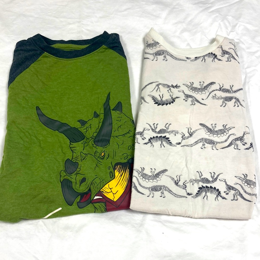 Two Cat & Jack boys short sleeve dinosaur shirts size small 6/7